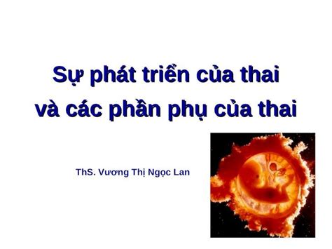 Ppt 3 Su Phat Trien Cua Thai Va Cac Phan Phu Cua Thai Dokumentips