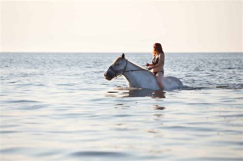 5 Tips To Safely Take Your Horse Swimming