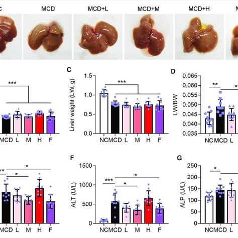 Ganweikang Tablet Alleviates Liver Lesions In Mcd Induced Nash Mice