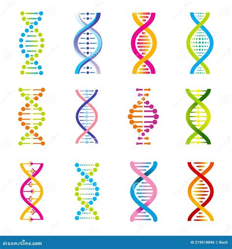 Dna Helix Vector Icons Of Genetics Medicine Stock Vector Illustration