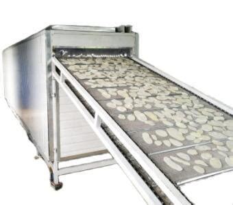 Dw Model Continuous Vegetable Belt Drier Mesh Conveyor Belt Dryer