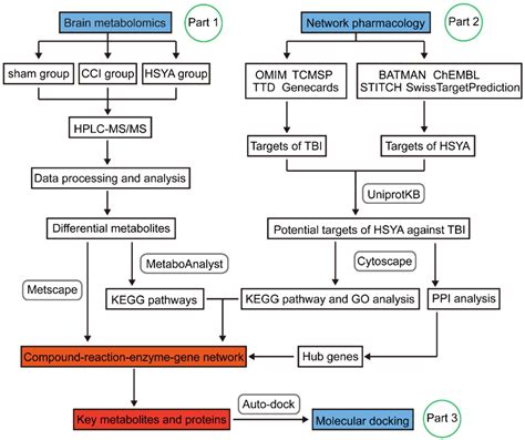 Integrated Metabolomics And Network Pharmacology To Reveal The