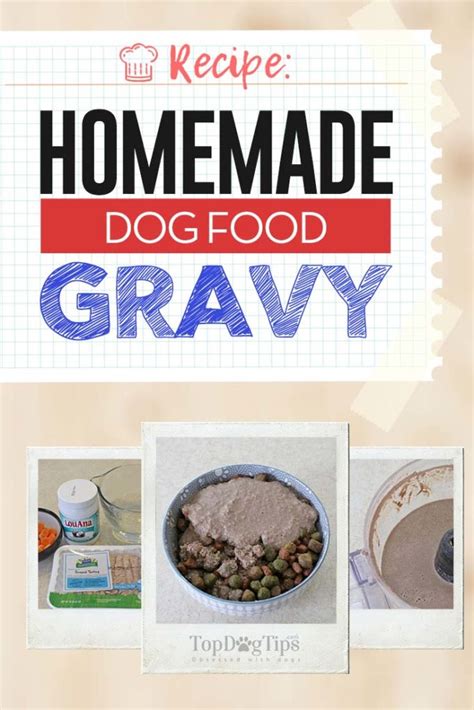 Homemade Dog Food Gravy Recipe (Quick and Easy to Make)