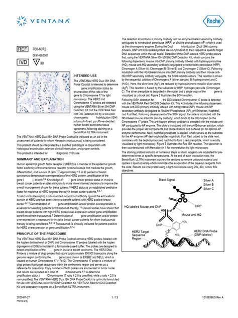 Ventana Her2 Dual Ish Method Sheet Pdf