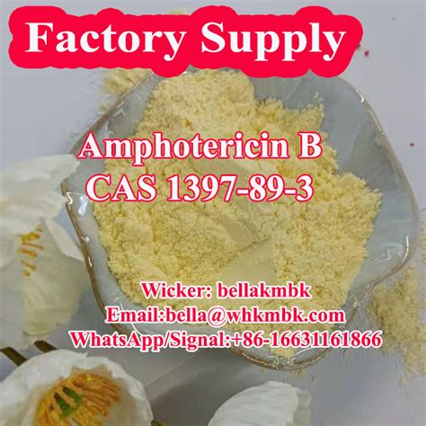 Antifungal Injectable Grade Amphotericin B Raw Powder CAS 1397 89 3