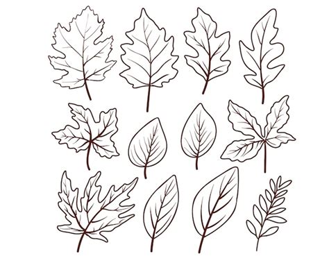 Premium Vector Doodle Set Of Autumn Leaves Vector Illustration