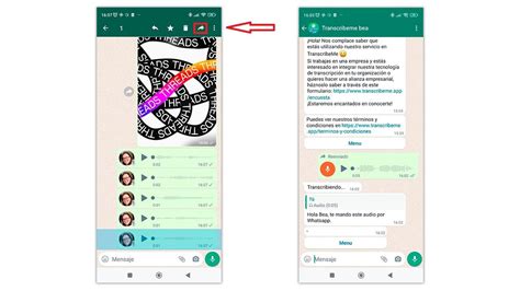 Cómo transcribir audios de WhatsApp en texto