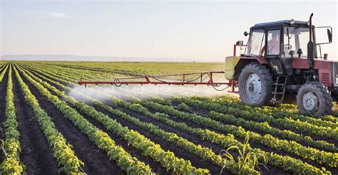 México registra superávit en balanza comercial agroalimentaria en