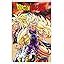 Amazon Trends International Dragon Ball Z Saiyans Wall Poster