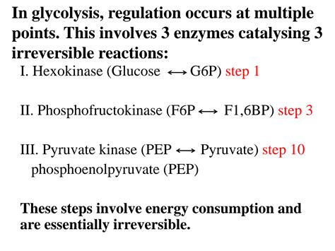 SOLUTION Lecture 14 Regulation Of Carbohydrates Metabolism Studypool