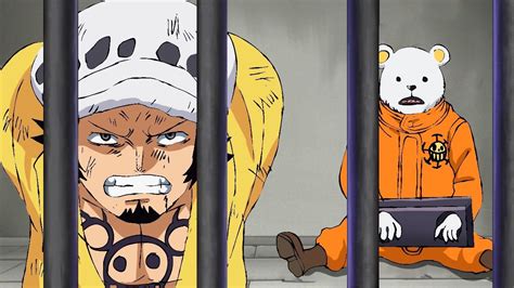 Law And Bepo Arrested After Blackbeard Steals The Power Of The Ope Ope