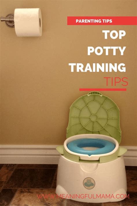 Top Potty Training Tips