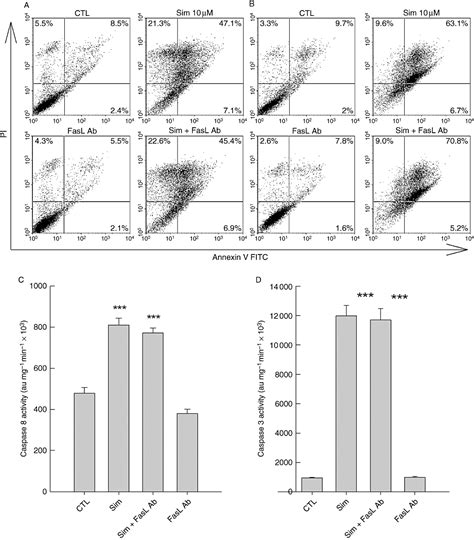 Autocrine Amplification Loop In Statin‐induced Apoptosis Of Human