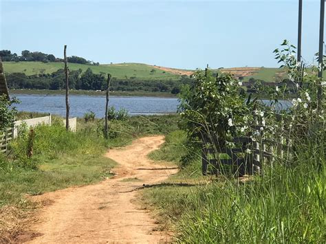 Ch Cara Venda S Margens Da Lagoa Feia Em Lagoa Da Prata Mg