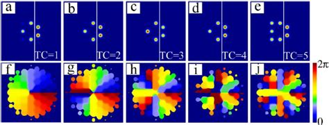 Five Lobe Surface Vortex Solitons With Different Topological Charges