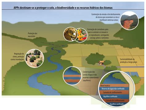 Cite Três Motivos Que Justifiquem A Preservação De Áreas Naturais - Cite Três Motivos Que Justifiquem A Preservação De áreas Naturais - RETOEDU