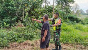 Sosialisasi Bahaya Karhutla Babinsa Turun Langsung Ke Kebun Warga