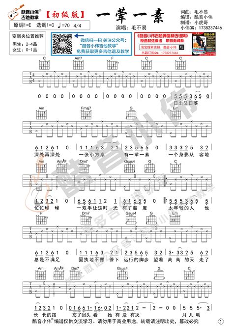 《一荤一素》吉他谱初级版简单酷音小伟吉他教学吉他谱搜谱网