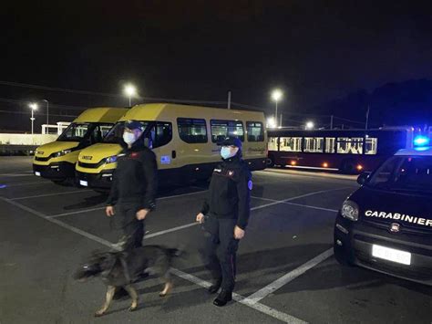 Controlli Dei Carabinieri Nel Ponente Savonese Arresti Denunce E