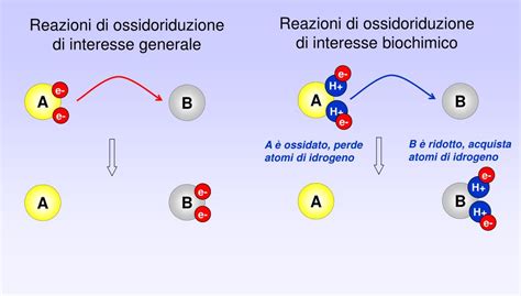 Ppt Reazione Di Ossidoriduzione Powerpoint Presentation Free