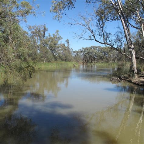 Kings Billabong Park Tutto Quello Che Cè Da Sapere 2025