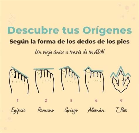 Descubre Tus Or Genes Seg N La Forma De Los Dedos De Los Pies Pintzap