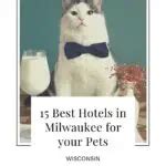 15 Best Pet-Friendly Hotels in Milwaukee, WI - Paulina on the road