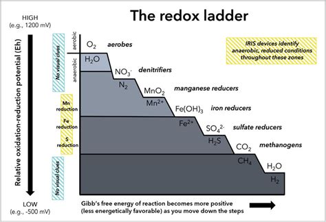 The Redox Ladder Showing The Progressive Transformation Of Redox Active