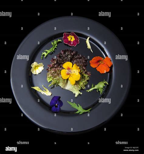 black plate with flowers and salad Stock Photo - Alamy