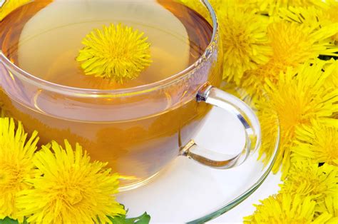 Appetite Suppressant Tea: Your Ultimate Guide | The Cozy Teacup