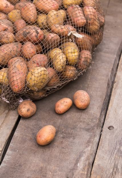 Patatas recién cosechadas con tierra todavía en la piel derramándose