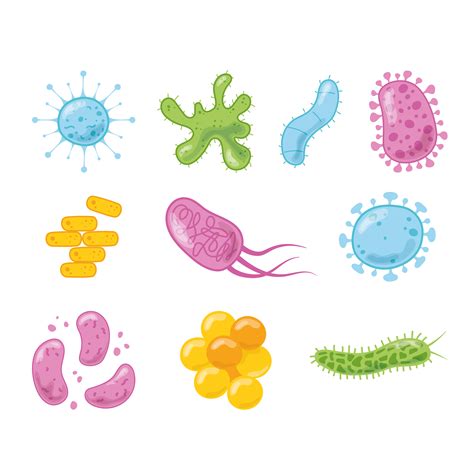 Cuerpo Humano Y Bacterias 455915 Vector En Vecteezy Porn Sex Picture