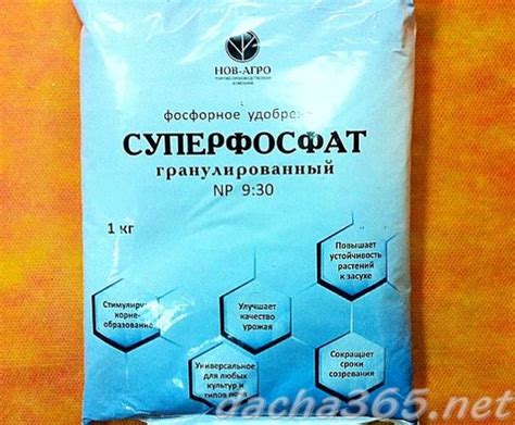 Суперфосфат: инструкция по применению удобрения в огороде, состав, как ...