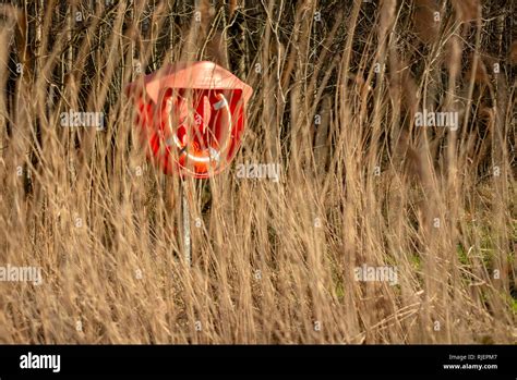 Orange Lifebuoy Ring Or Lifebelt As Seen Through Tall Grass As Help And