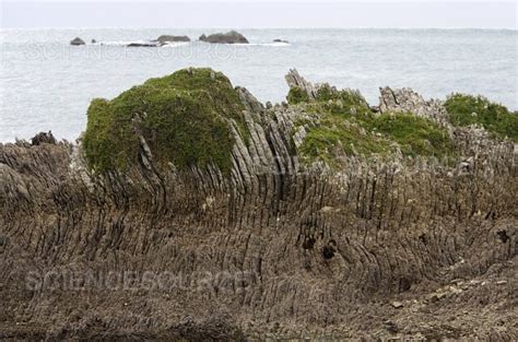 New Zealand Geology Stock Image Science Source Images