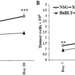 Tumors resected from NSG mice showed significantly higher tumor growth ...