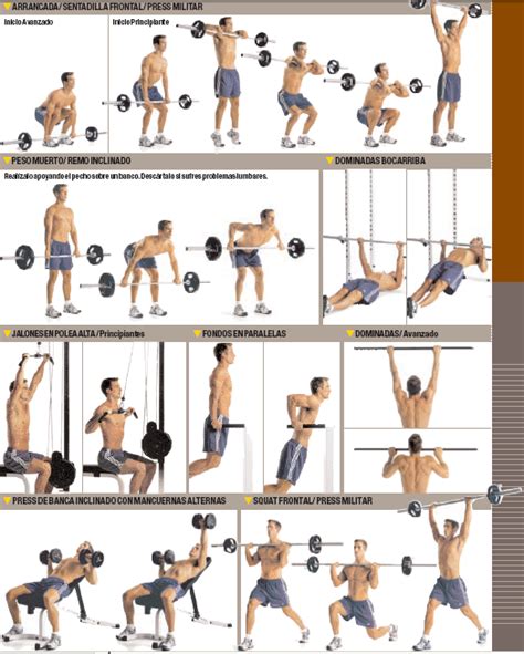 Pin En Fitness Madness Rutinas De Entrenamiento Ejercicios De