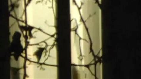 Hot MILF Walks Bottomless Around The House Tnaflix