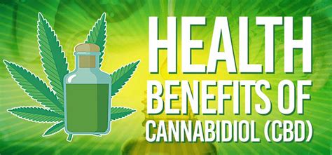 Healthy Benefits of CBD Oil [Infographic]