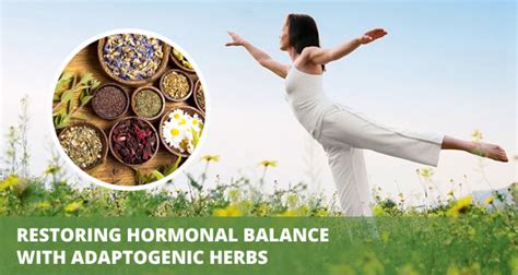 Restoring Hormonal Balance With Adaptogenic Herbs Sanusq Health