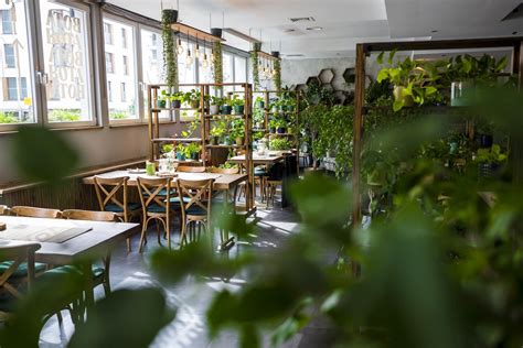 Bota Bistro Czyli Restauracja Jak Ogr D Botaniczny W Rodku Ponad