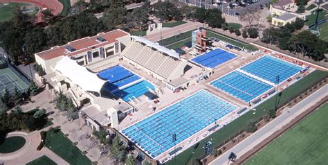 Swim Team and Swimming Lessons at Stanford — Alto Swim Club