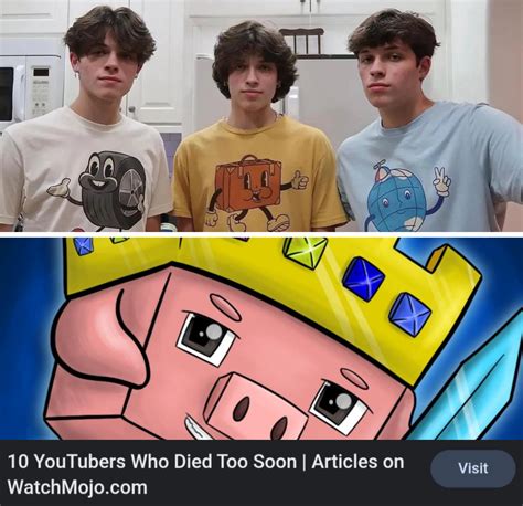 Wow they died so young :( : r/SturnioloTriplets