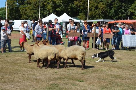 Tous Les Leveurs Exposeront Bien Leurs Animaux La Foire Aux Bestiaux