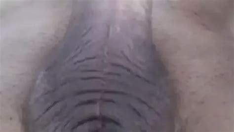 Axiristo Kavli Free Solo Man Hd Porn Video Cb Xhamster