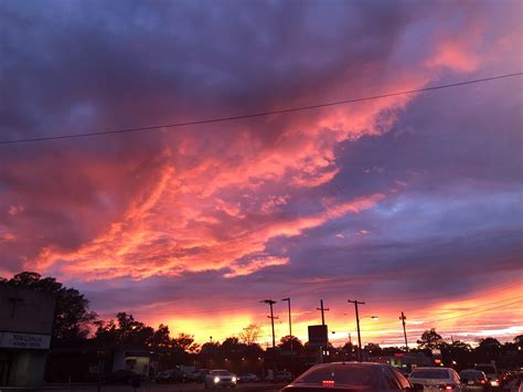 Residents react to nyc forest hills park renovation plans today 5