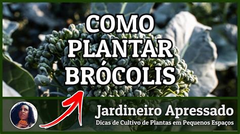 Como Plantar Brócolis Youtube