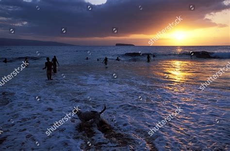 Little Beach Maui Editorial Stock Photo - Stock Image | Shutterstock