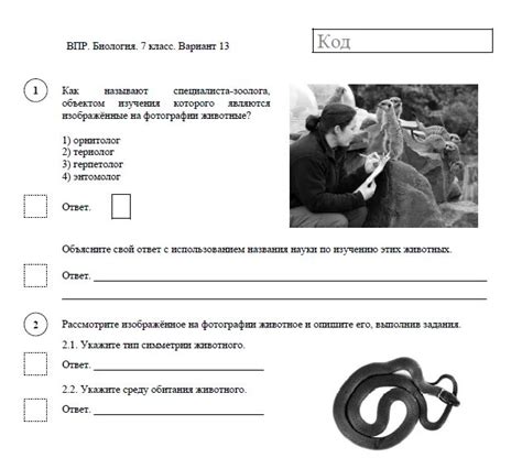 Впр пятый класс история с ответами 2024