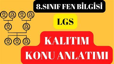 Sinif Fen B Lg S Kalitim Kanu Anlatimi Youtube